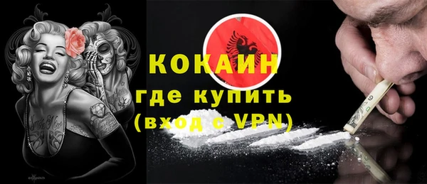 твердый Арсеньев