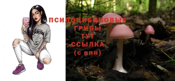 СК Аркадак