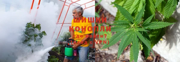 твердый Арсеньев