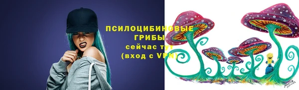 твердый Арсеньев
