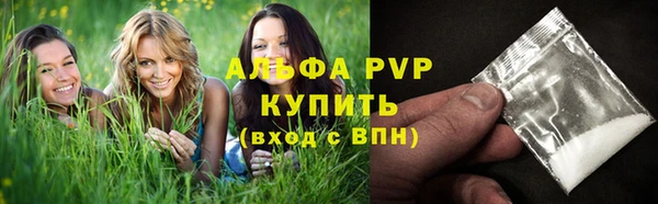 СК Аркадак