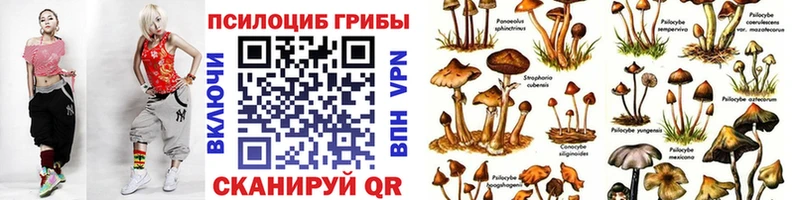 Псилоцибиновые грибы Magic Shrooms Славск